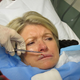 Illustration for article titled Martha Stewart Gets Stitches After Headbutt From French Bulldog